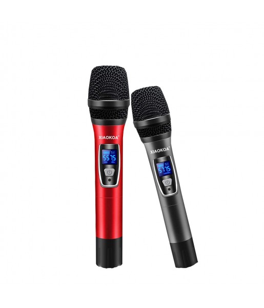 Système de Microphone professionnel sans fil UHF, double canal, ensemble de  Microphone dynamique portatif, 197 pieds, cardioïde - AliExpress