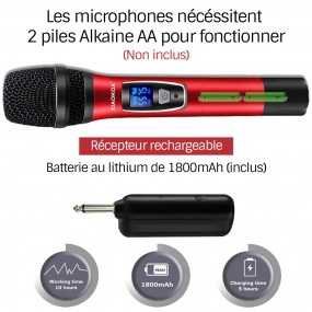Paire microphone Karaoké Sans Fil UHF Double Canal Portatif