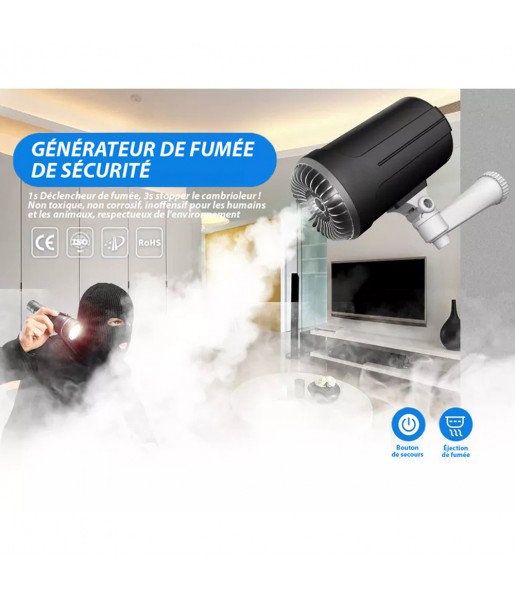 Générateur Brouillard Sécurité Antivol Sans fil Caméra 360° HD 1080P