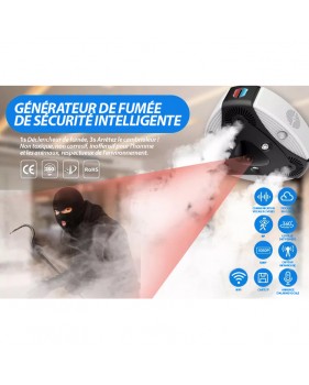 Générateur de Brouillard Sécurité Antivol Sans fil Wifi Caméra Surveillance