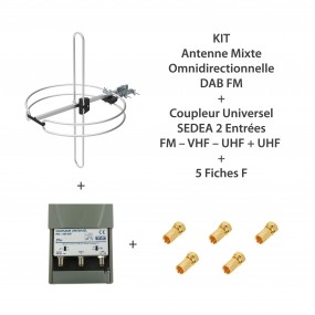 KIT Antenne mixte omnidirectionnelle DAB FM  +  Coupleur Universel