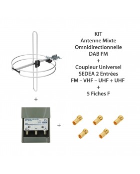 KIT Antenne mixte omnidirectionnelle DAB FM  +  Coupleur Universel