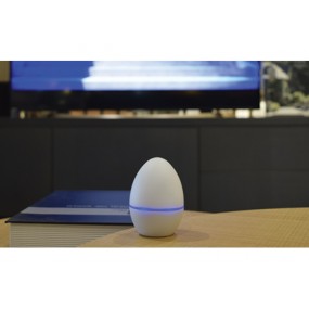 Télécommande Universelle - Cahors Smart-Egg