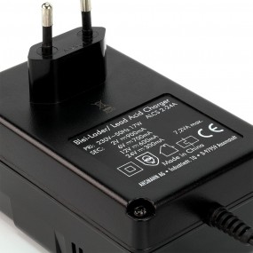 Chargeur automatique pour batteries au plomb ANSMANN ALCS 2-24A 2V 6V 12V 24V