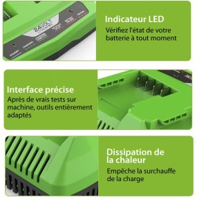Chargeur de Batterie 24 V pour Greenworks Tools 24 V Compatible avec Toutes Les Batteries de la série Greenworks 24 V 2A