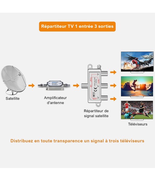 Neoteck Séparateur Cable 3 Voies Satellite TV
