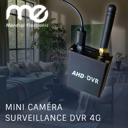  Mini Caméra de Surveillance DVR 4G